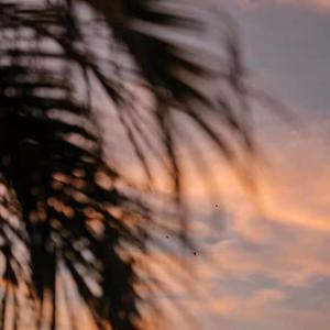 麻豆视频国产剧情演绎
