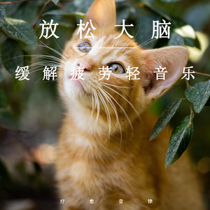 麻豆视频国产剧情演绎
